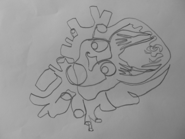 Dibujo