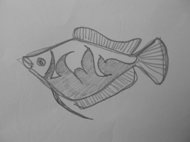 Dibujo