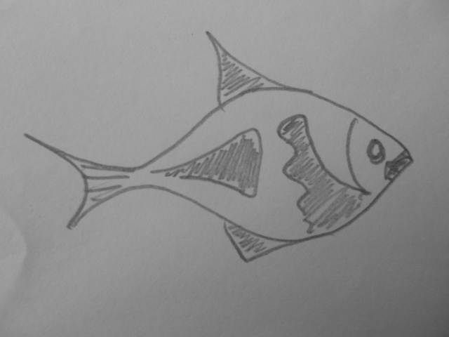 Dibujo
