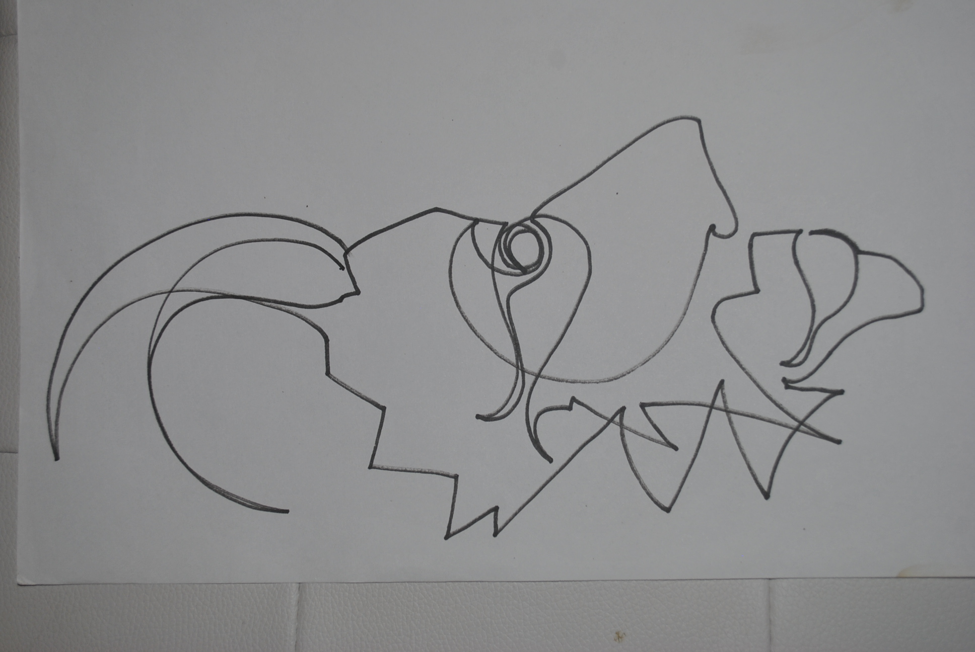 Dibujo