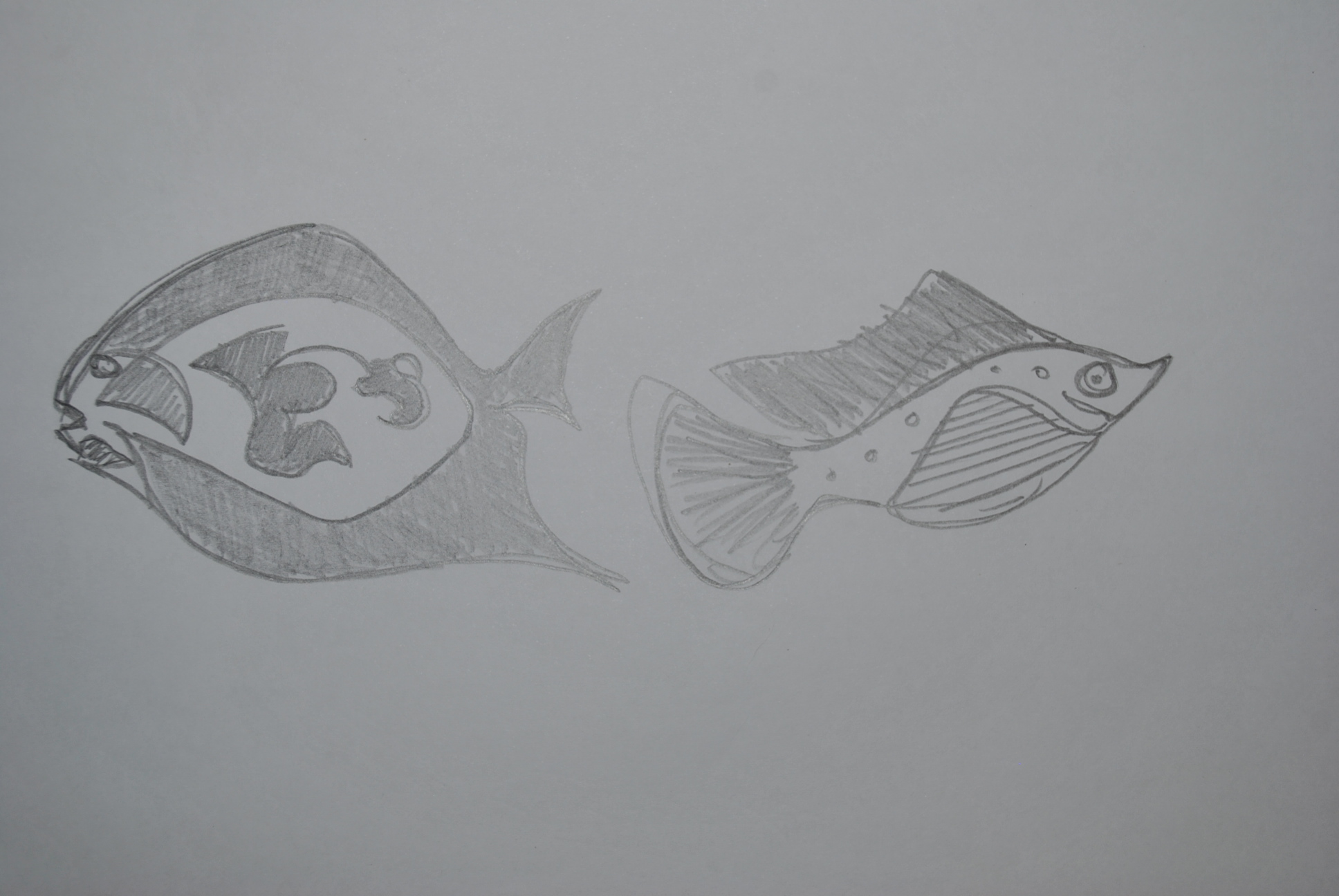 Dibujo