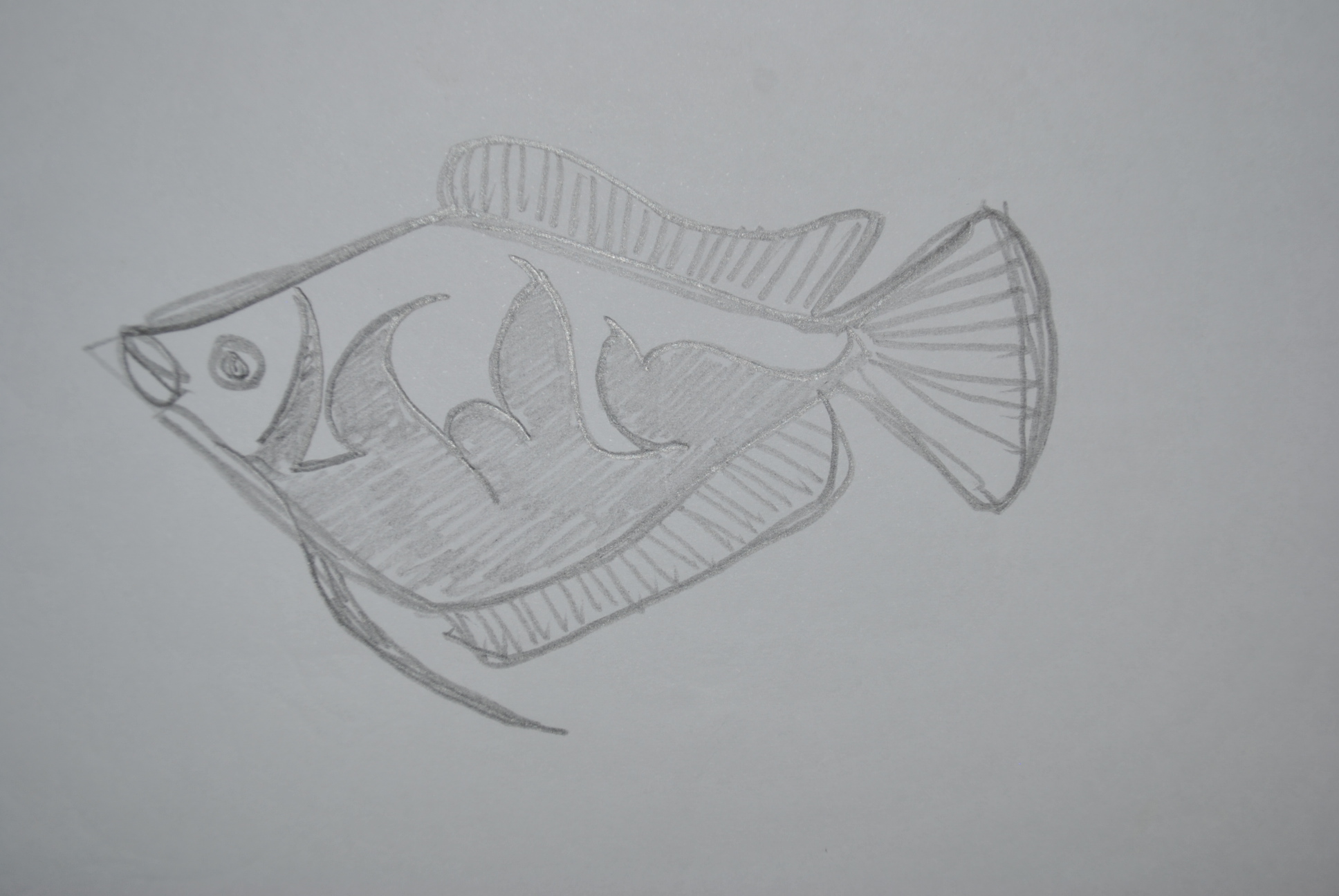 Dibujo