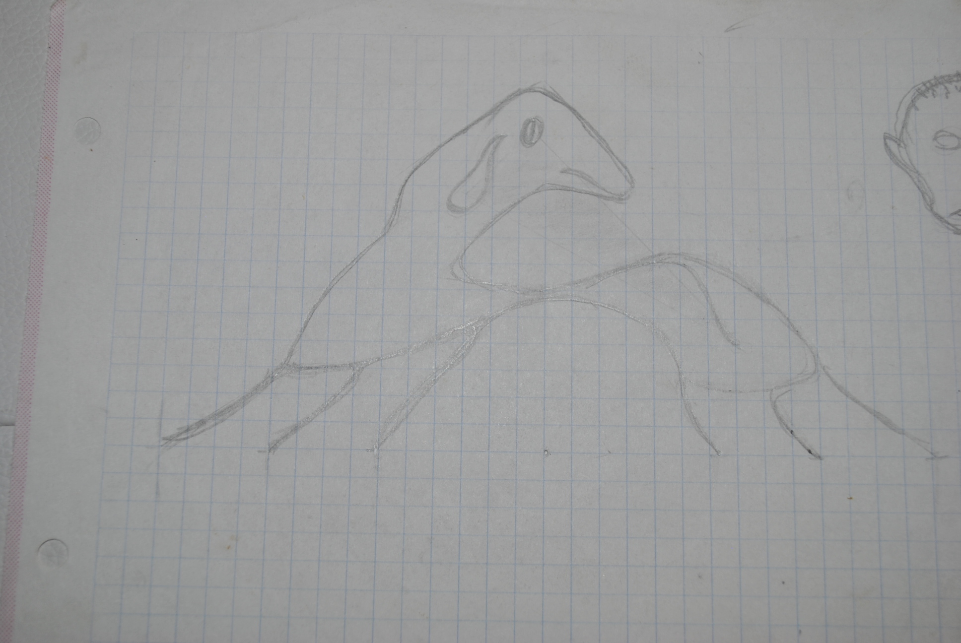 Dibujo