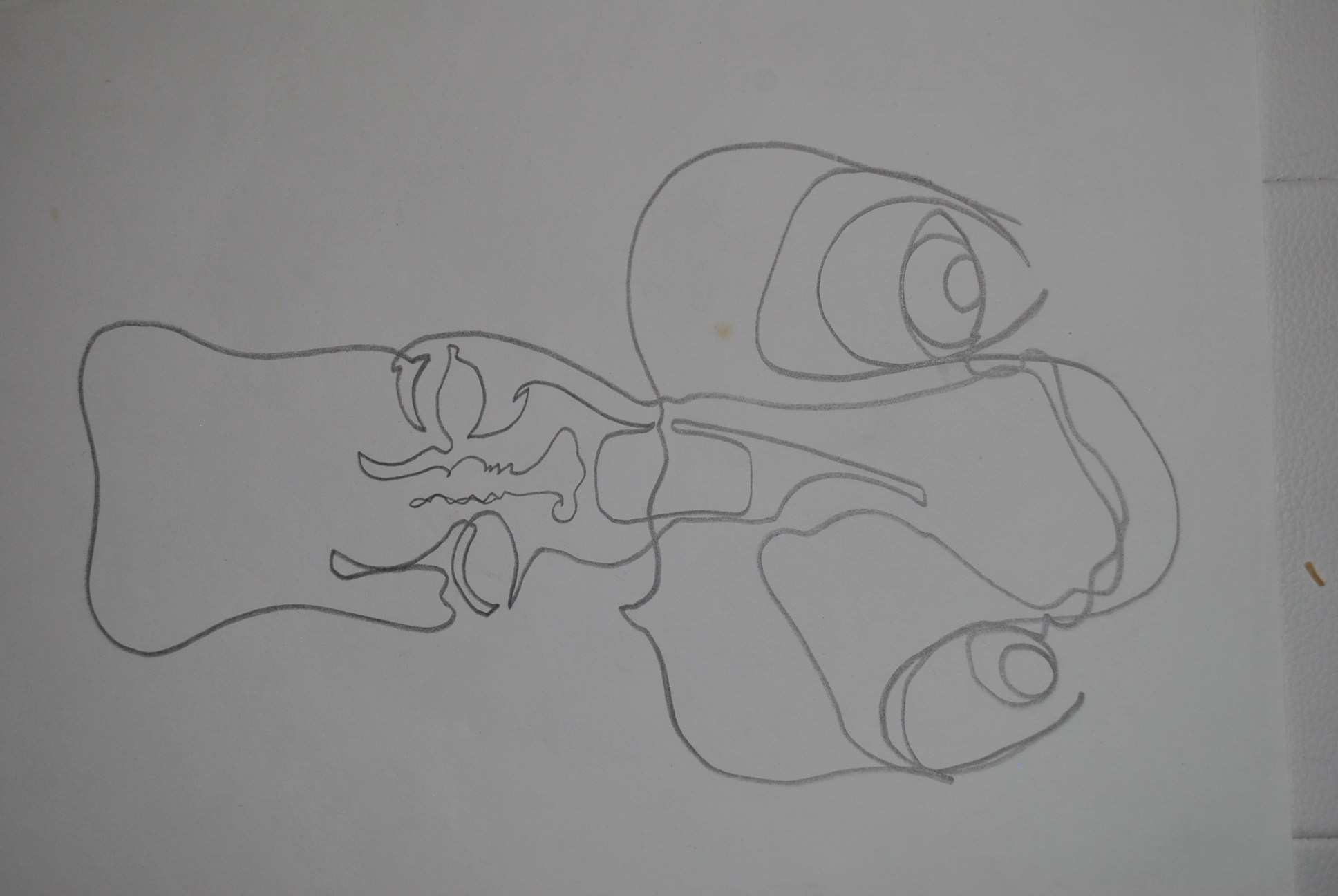 Dibujo