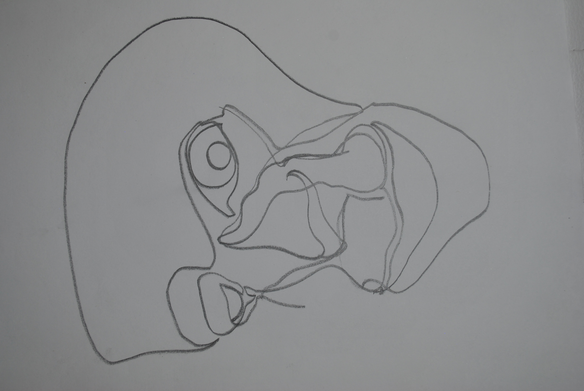 Dibujo