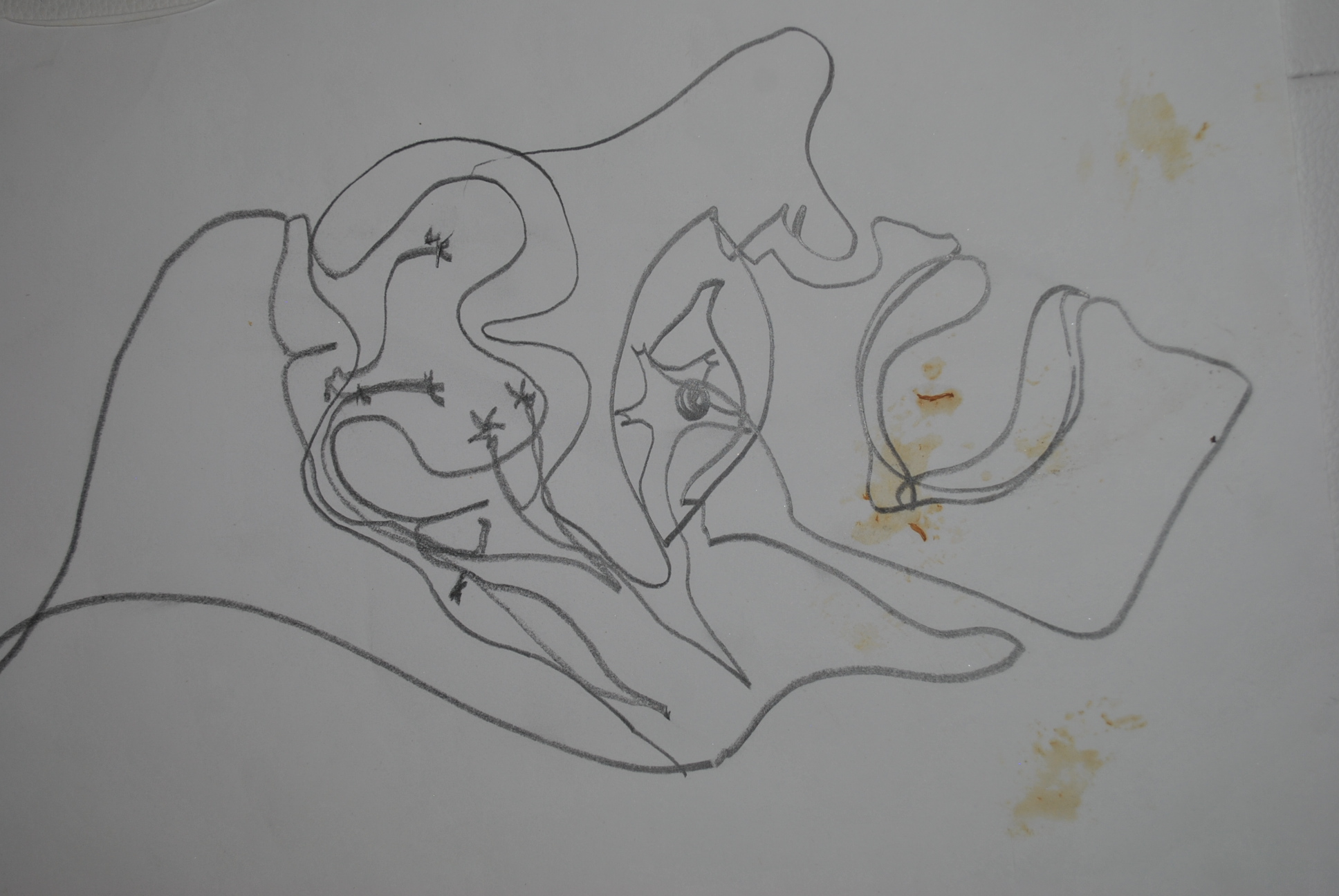 Dibujo