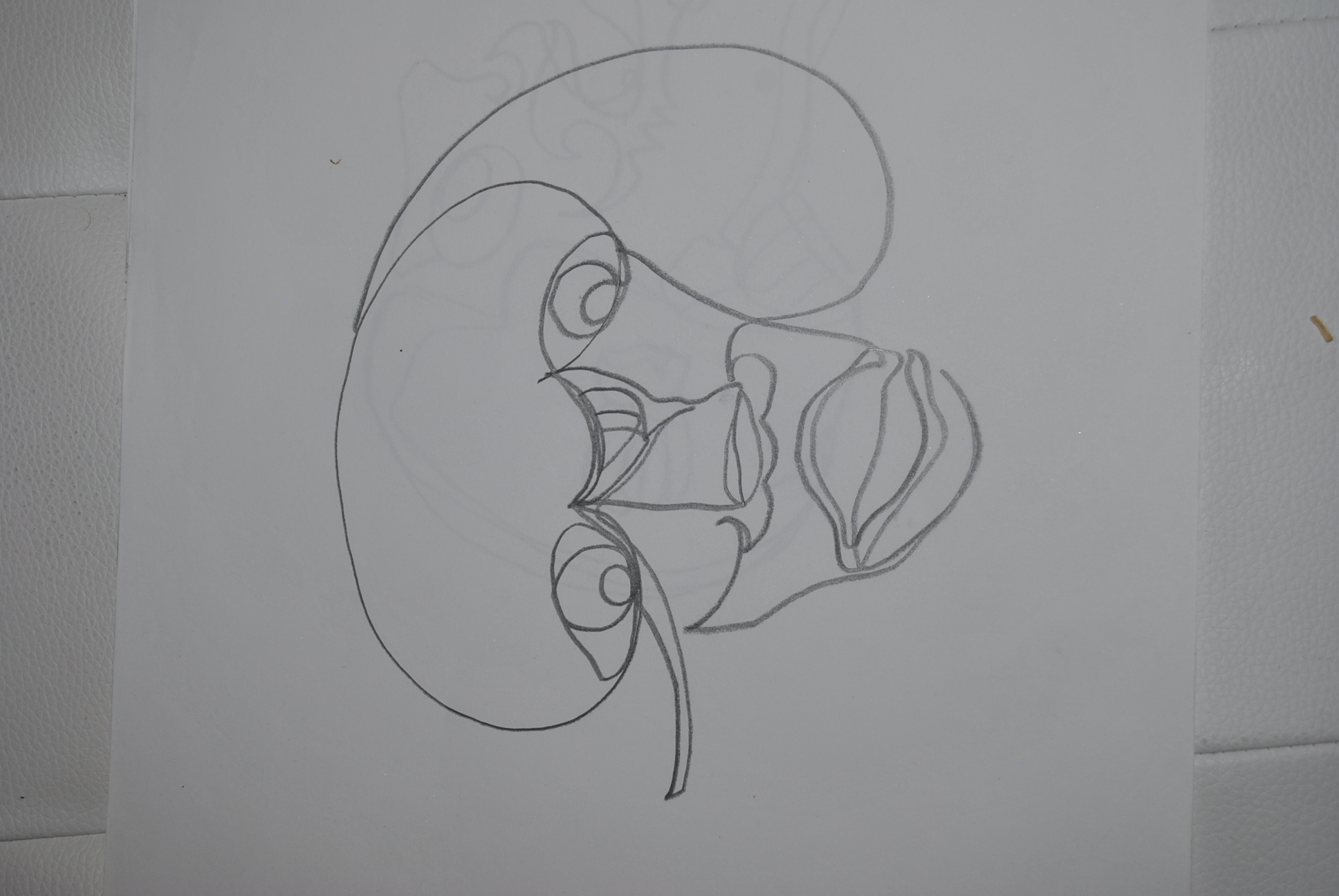 Dibujo