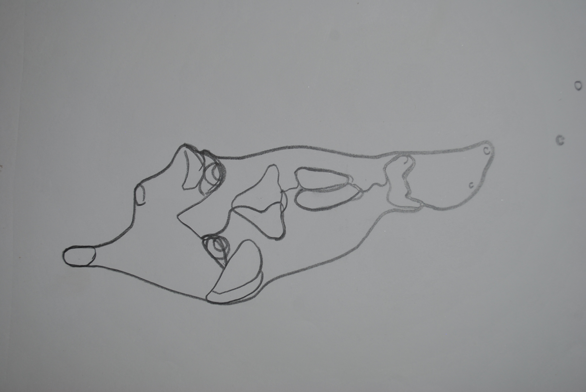 Dibujo