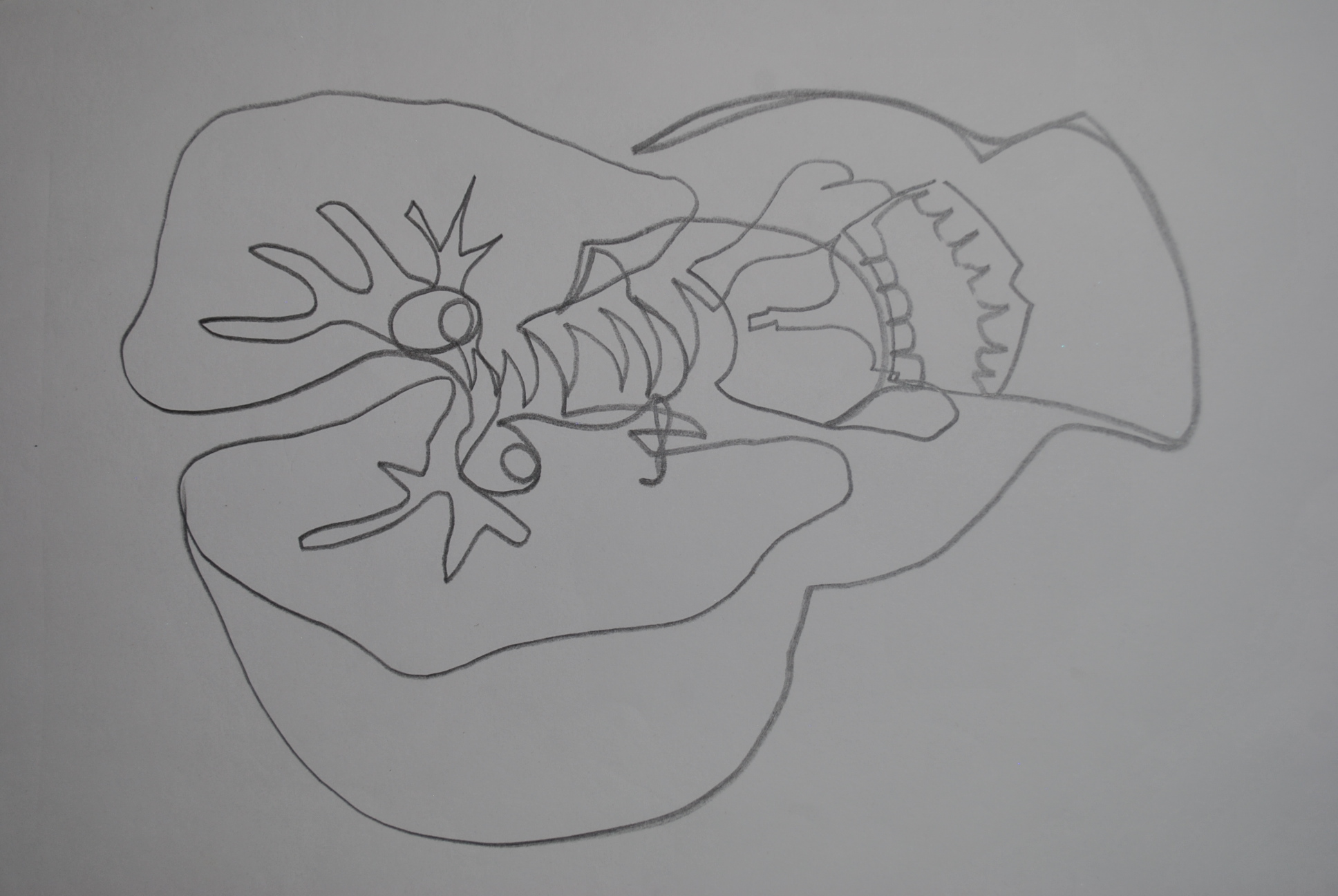 Dibujo
