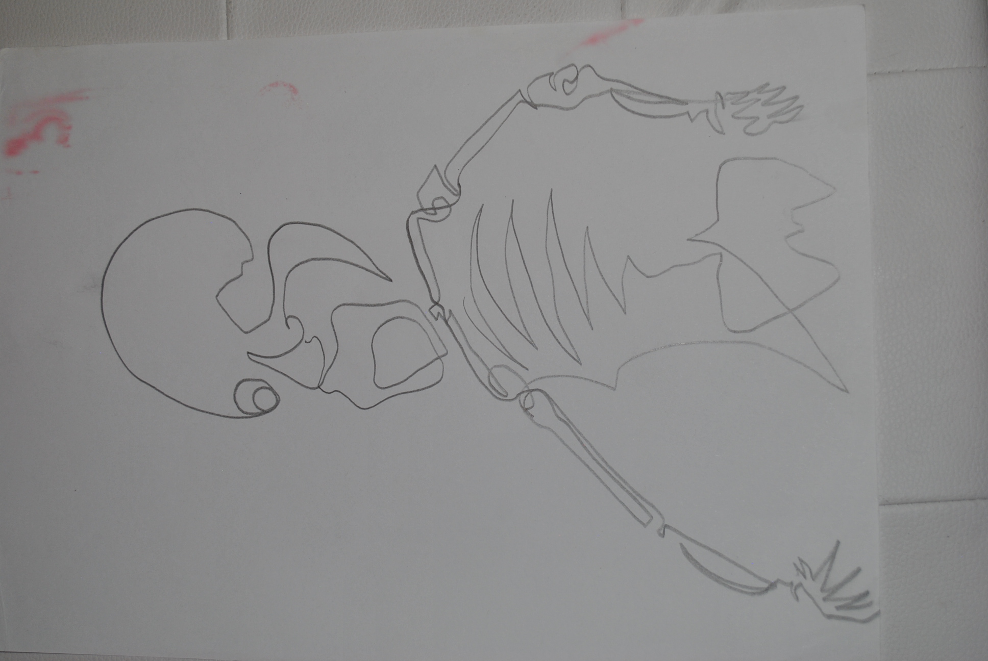 Dibujo