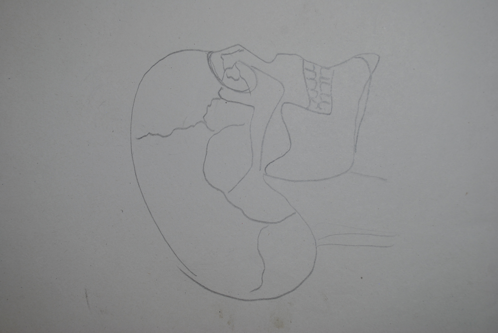 Dibujo