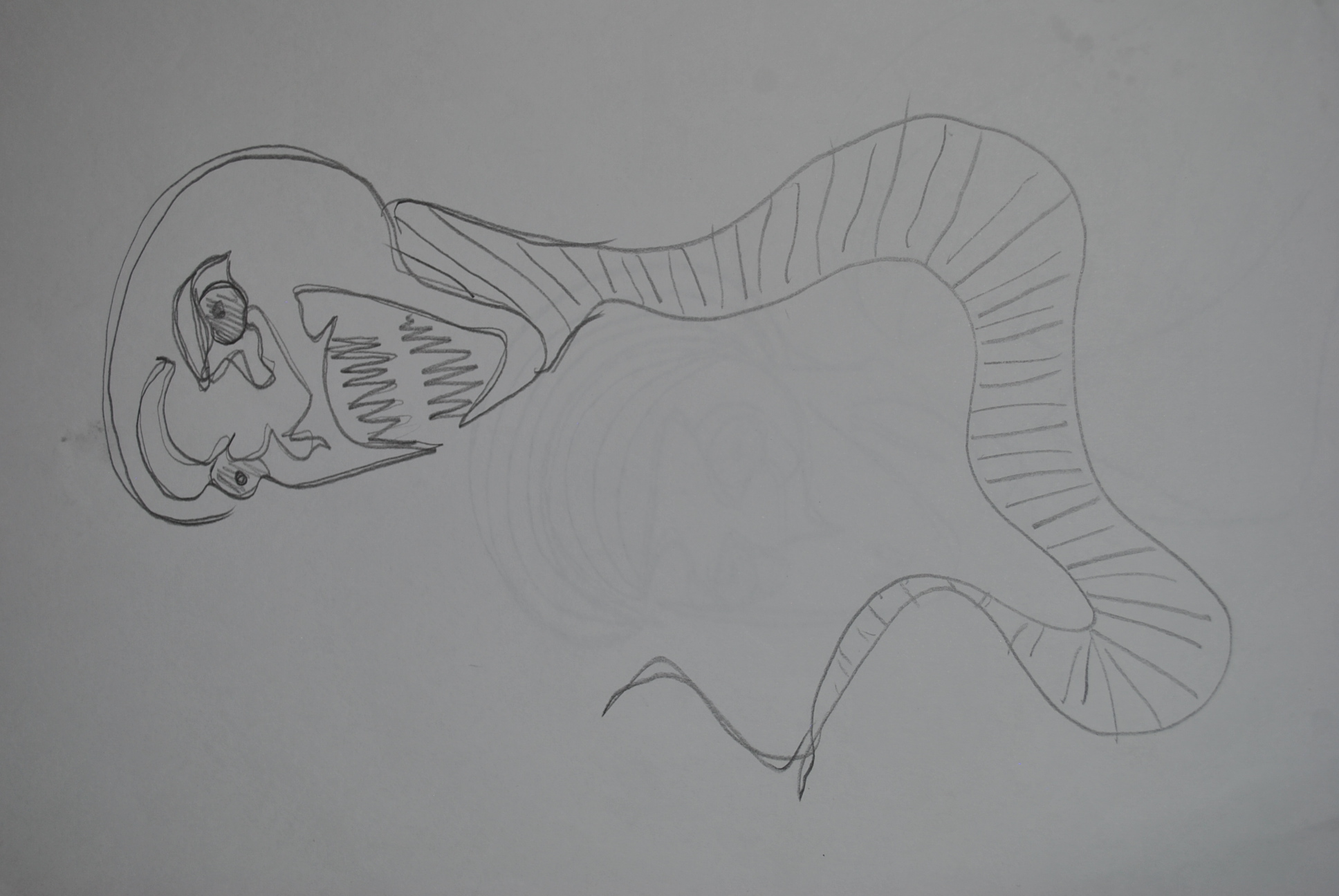 Dibujo