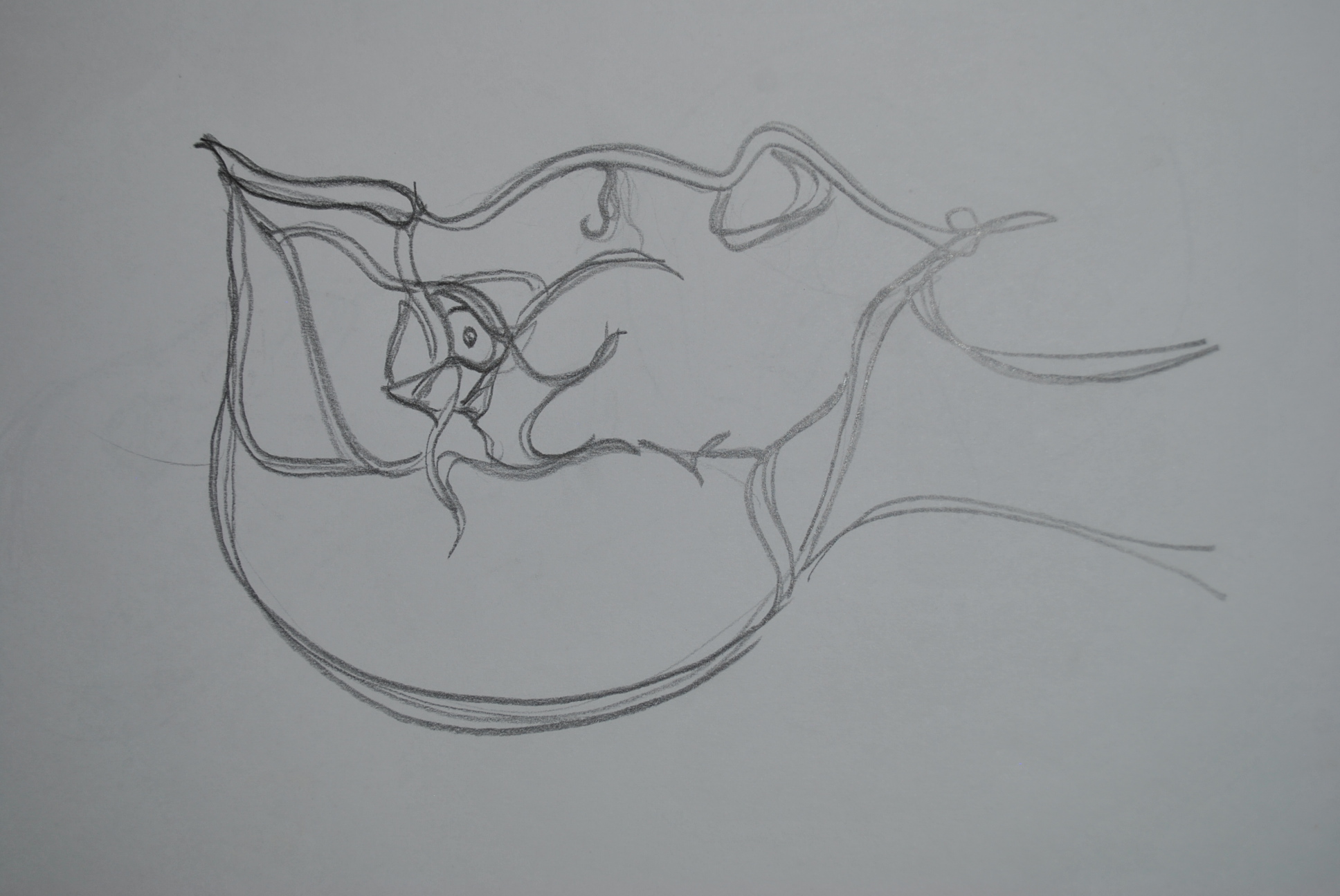 Dibujo