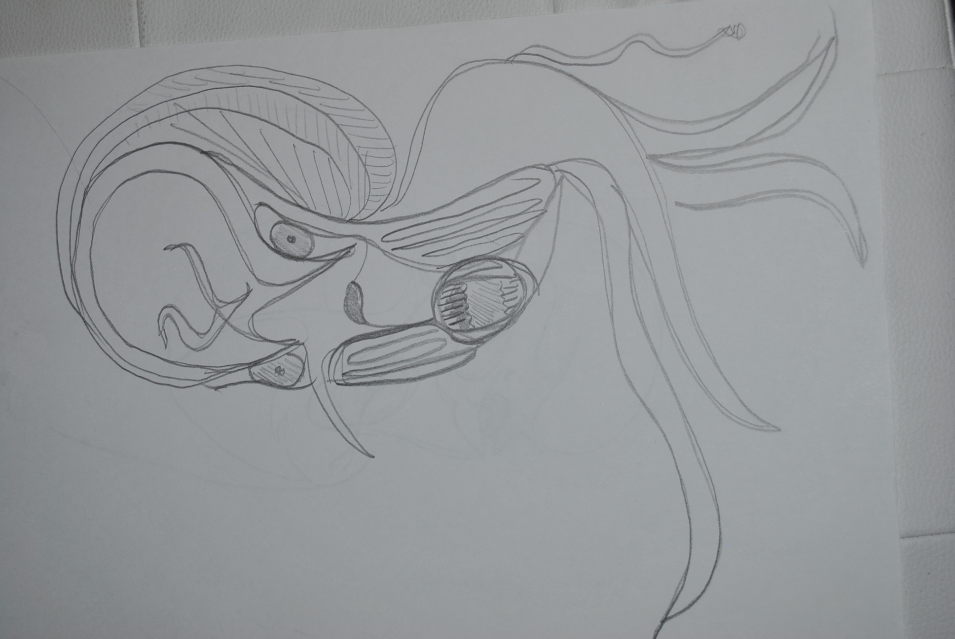 Dibujo