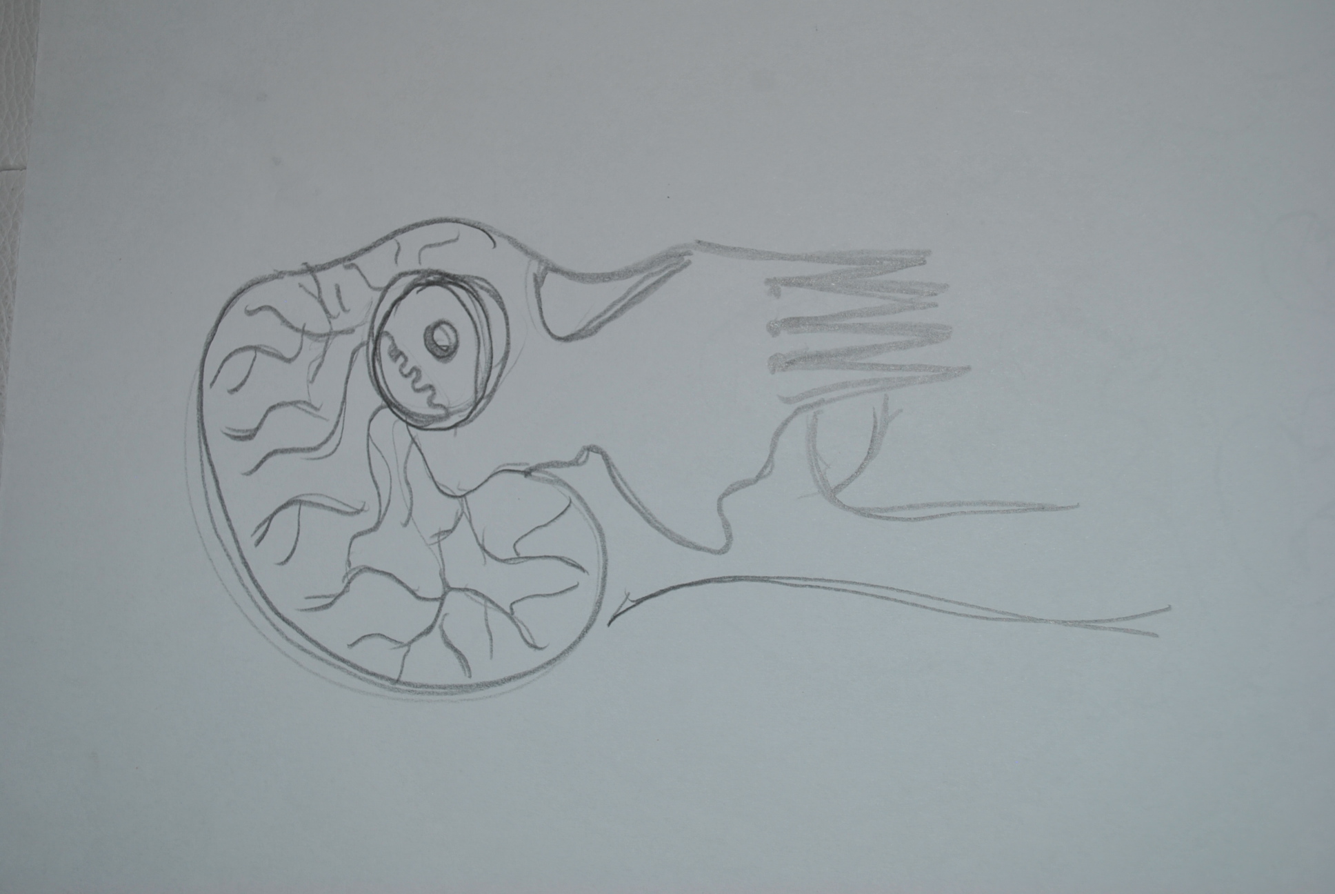 Dibujo