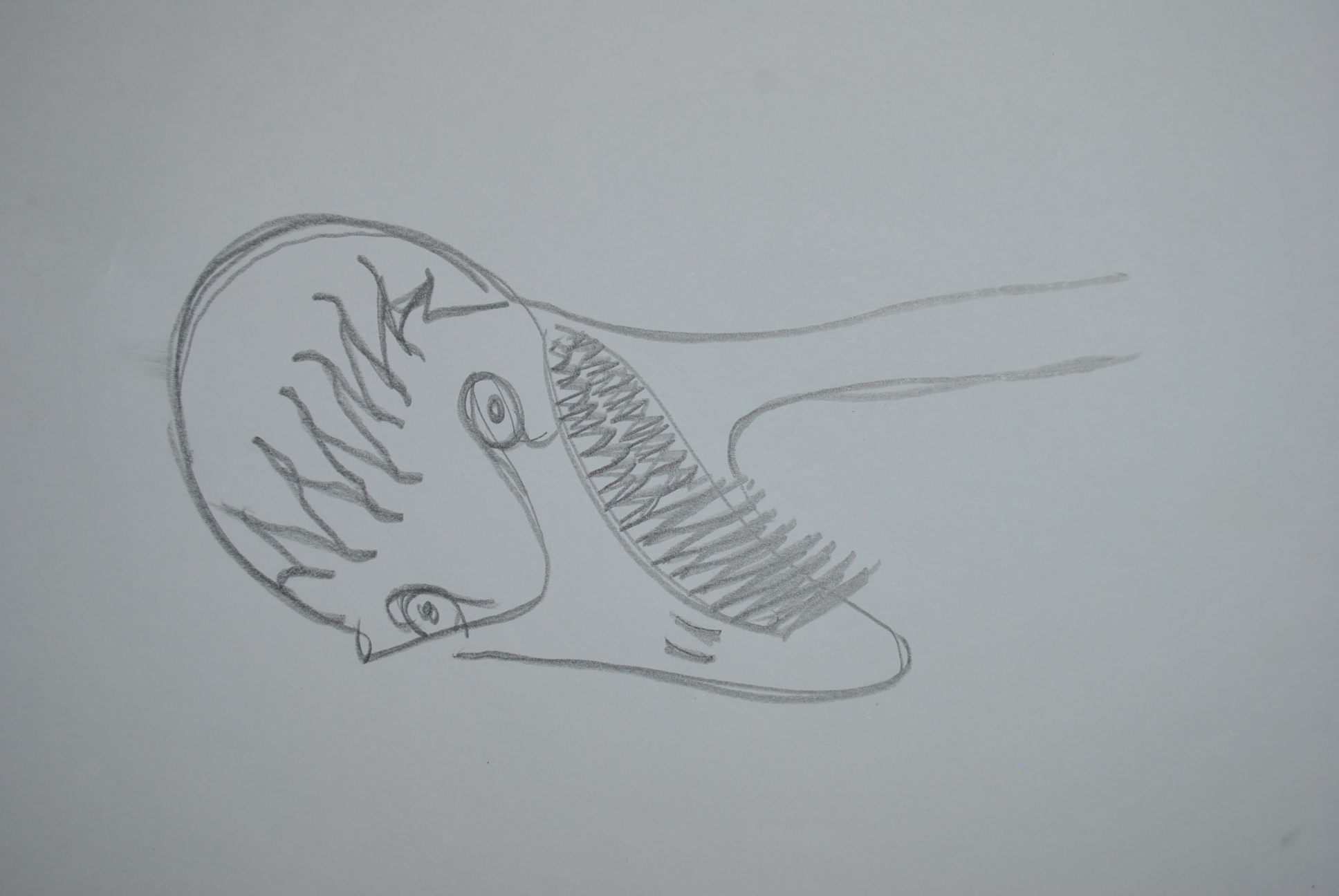 Dibujo