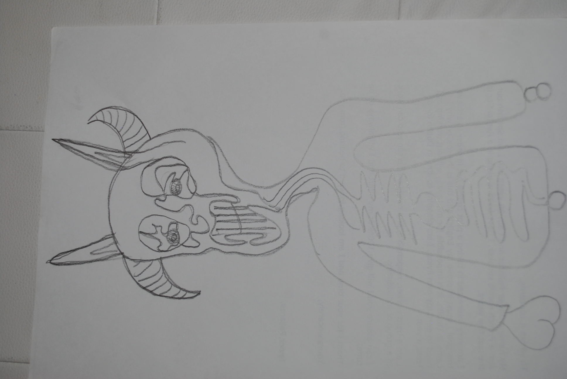 Dibujo