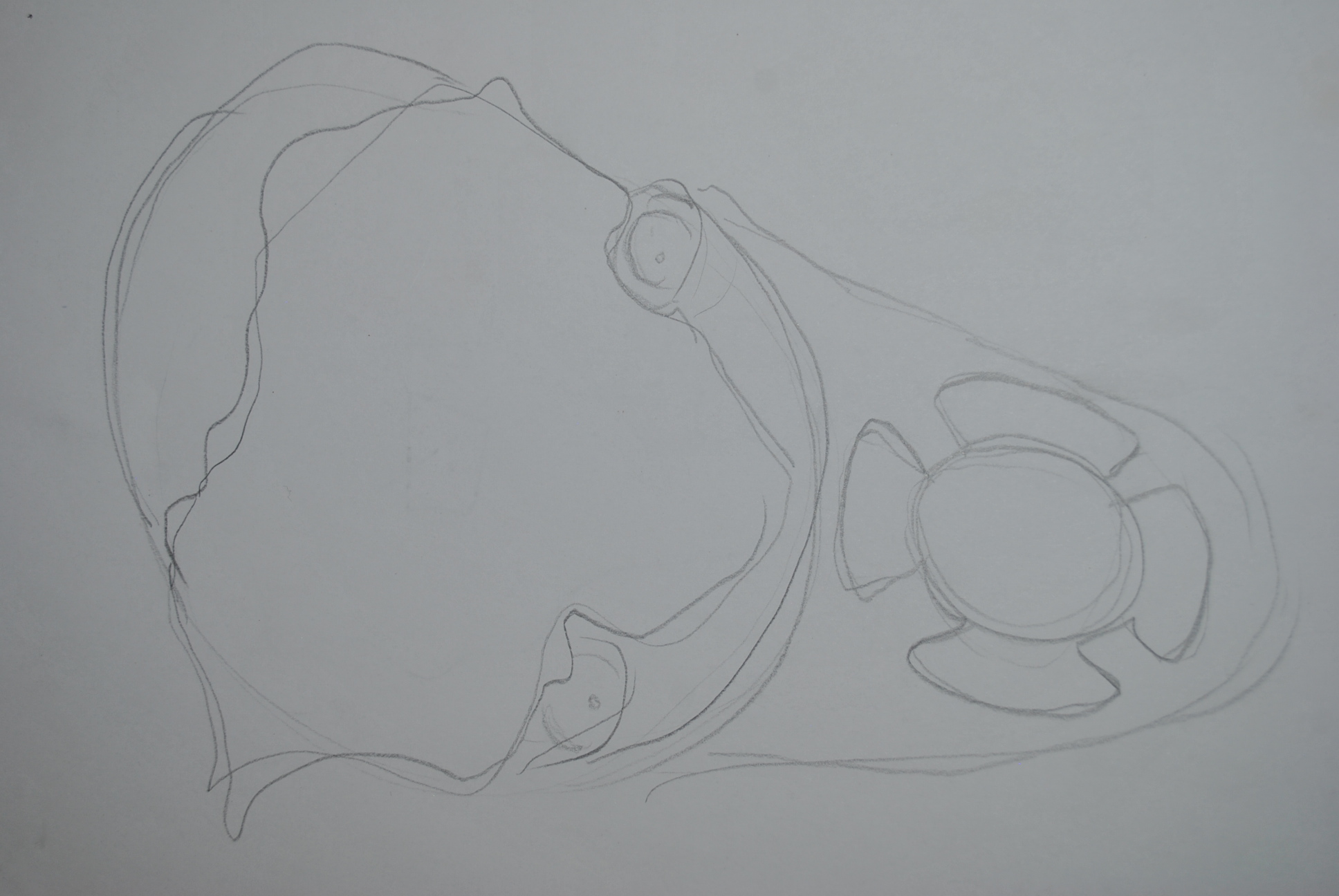 Dibujo