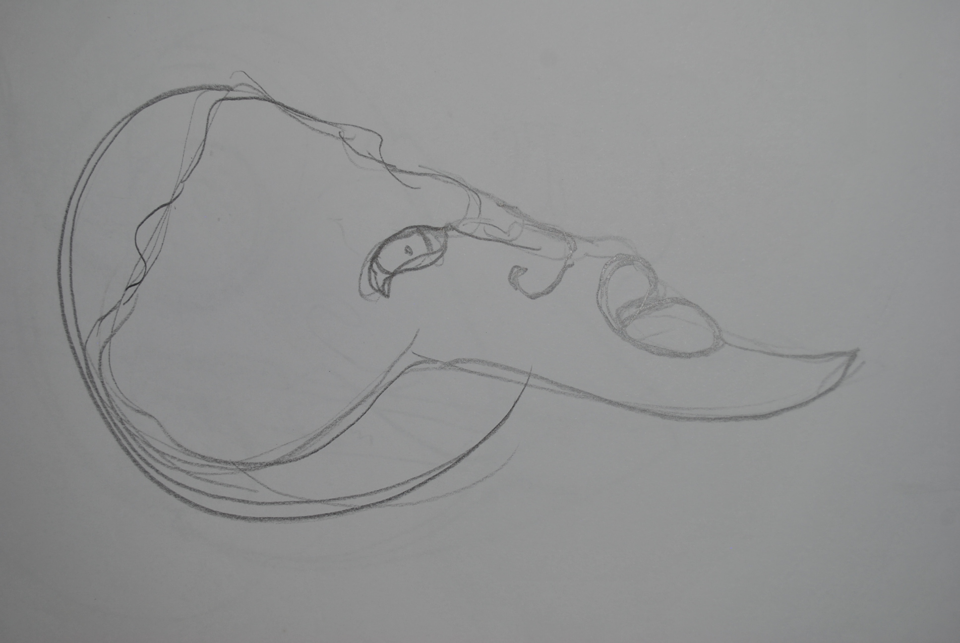 Dibujo